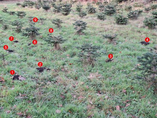 So viele Maulwurfshügel sind es.