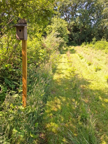Nistkasten verschlossen 07/25