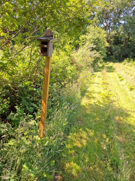 Nistkasten, geöffnet 07/25
